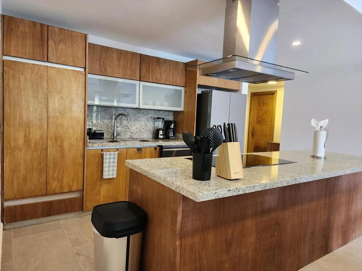 Luxury Swim-Up Apartment And Private Beach Club Playa del Carmen